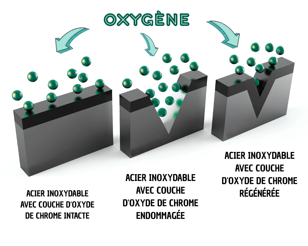 Découvrez l’acier inoxydable